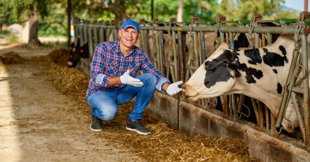 Tips for Extending the Life of Your Portable Milker