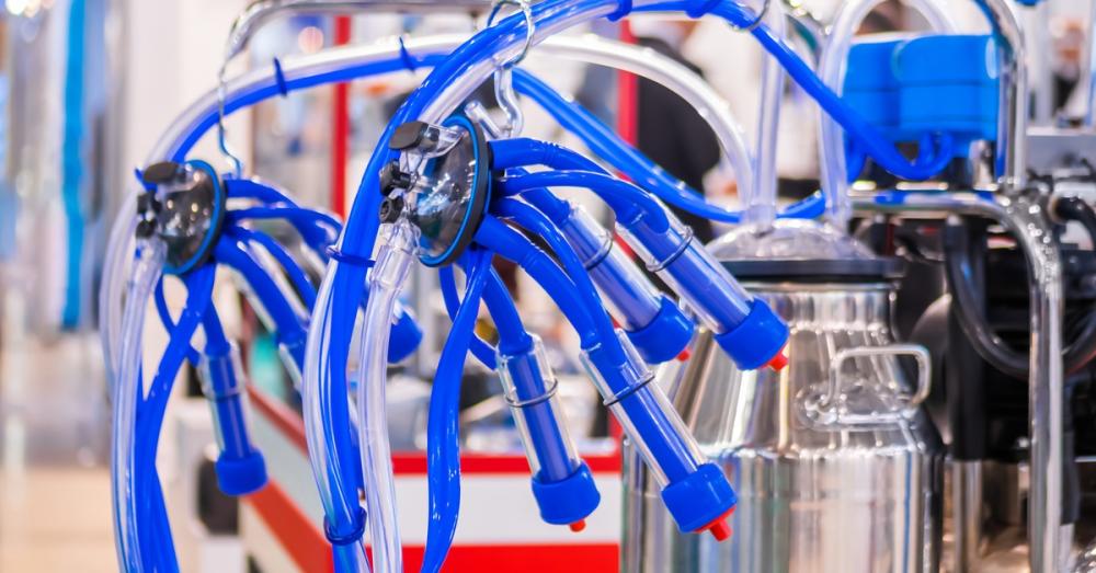 A milking machine with blue components and clear tubing housed in a facility with bright lighting.