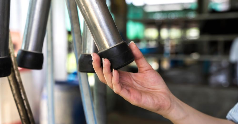 A person with rolled-up sleeves holds one of the four teat cups on a milking claw by its end inside a dairy facility.