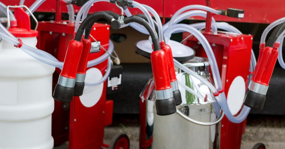 Multiple portable milkers with a red mobile frames placed outside next to a large, red metal structure.