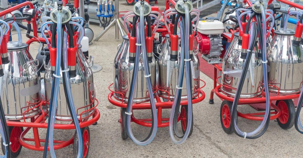 Multiple milking machines with bright red support frames are arranged side by side. Each frame holds two metal buckets.