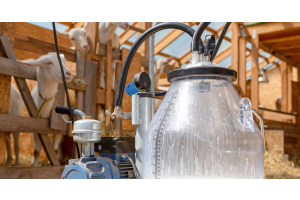A goat milking machine with a plastic bucket sits on the floor in a barn. Goats stand behind a gate in the background.