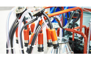 A close-up of a cow vacuum milking machine with orange nozzles and clear plastic tubes attached to a stainless steel tank.