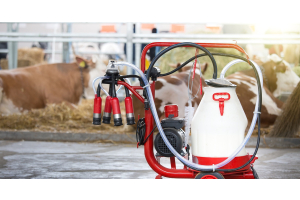 A portable milking machine with one bucket, one milking cluster, and one pulsator. Nearby, cows are lying down in hay.