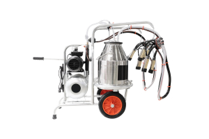  A portable milking machine with a milking cluster, pulsator, and stainless steel bucket on a wheeled support frame.