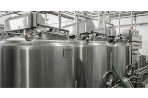 A row of closed stainless-steel bulk milk tanks sits inside a dairy facility, connected by pipes and valves.