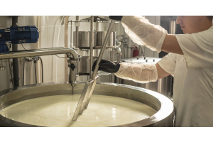 A worker wearing gloves and a hair covering moves a long metal tool in a large, stainless-steel vat of milk.
