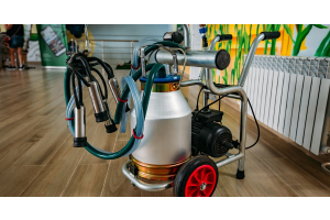 A portable milk bucket unit includes a metal cart frame, hanging hoses, teat cups, and a bucket above red wheels.