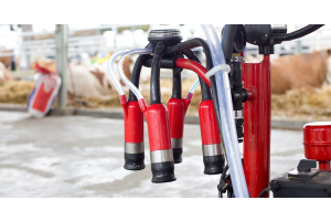 A portable milking machine with a red, black, and silver design in a barn with stables of cows in the background.