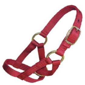 SM DOE HALTER RED