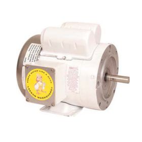 2HP MOTOR 3 PHASE WASHGUARD