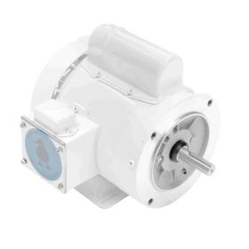 Leeson ½ HP 115/230V Washguard Motor