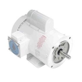 Leeson 1½ HP 230 V Washguard Motor – Stainless Shaft
