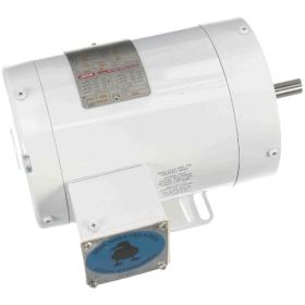 LEESON 113590 Milk Pump Motor – 1 HP 3-Phase 56C TENV
