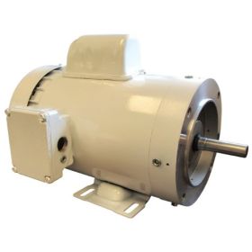 1 HP 5/8" Keyed Washdown Motor – 3600 RPM