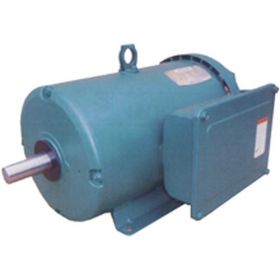 LEESON 5HP MOTOR FOR SURGE