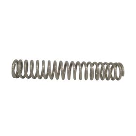 6" SS FILTER SPRING ONLY                                    