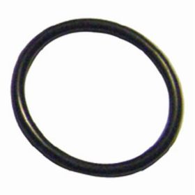 REPLACEMENT DELATRON COIL O-RING