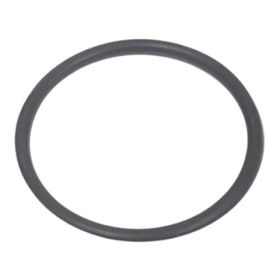O-RING FOR 5/8" STAINLESS STEEL TESA VALVE