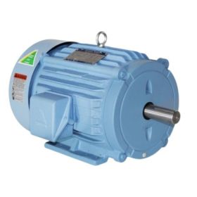 25HP 240V 3-Phase 1800RPM Vacuum Pump Motor
