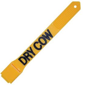 PVC LEG BAND YELLOW DRY COW