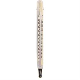 FLOATING THERMOMETER