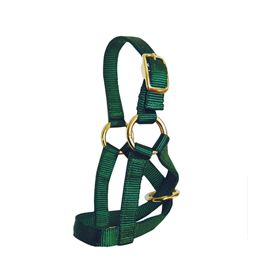 MEDIUM GOAT HALTER