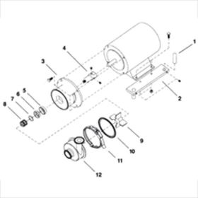 O-RING FOR SEAL SP41/51/61