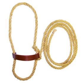 7 FT LEAD W\NOSE BAND                                                                                                   