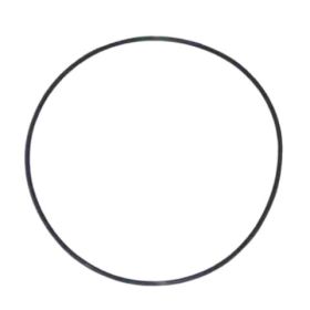 NuPulse Large O-Ring for CIP Assembly