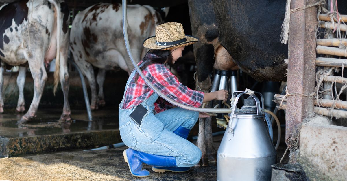 Tips for Extending the Life of Your Portable Milker