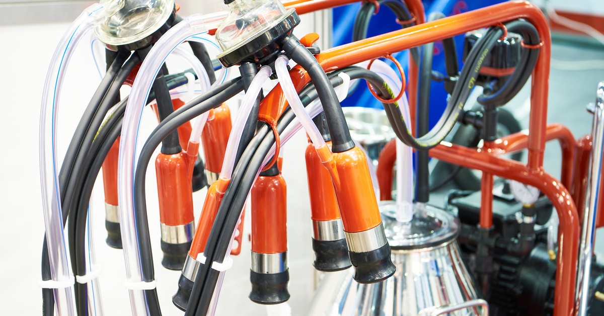 A close-up of a cow vacuum milking machine with orange nozzles and clear plastic tubes attached to a stainless steel tank.