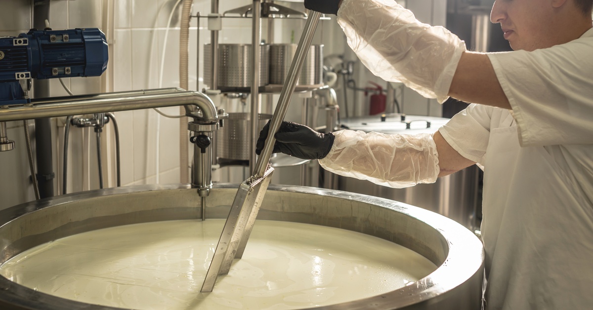 A worker wearing gloves and a hair covering moves a long metal tool in a large, stainless-steel vat of milk.