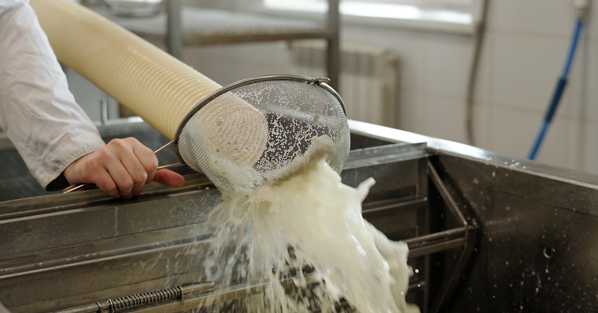 Milk being poured through a large hose into a vat while a worker holds a metal filter up to the stream.