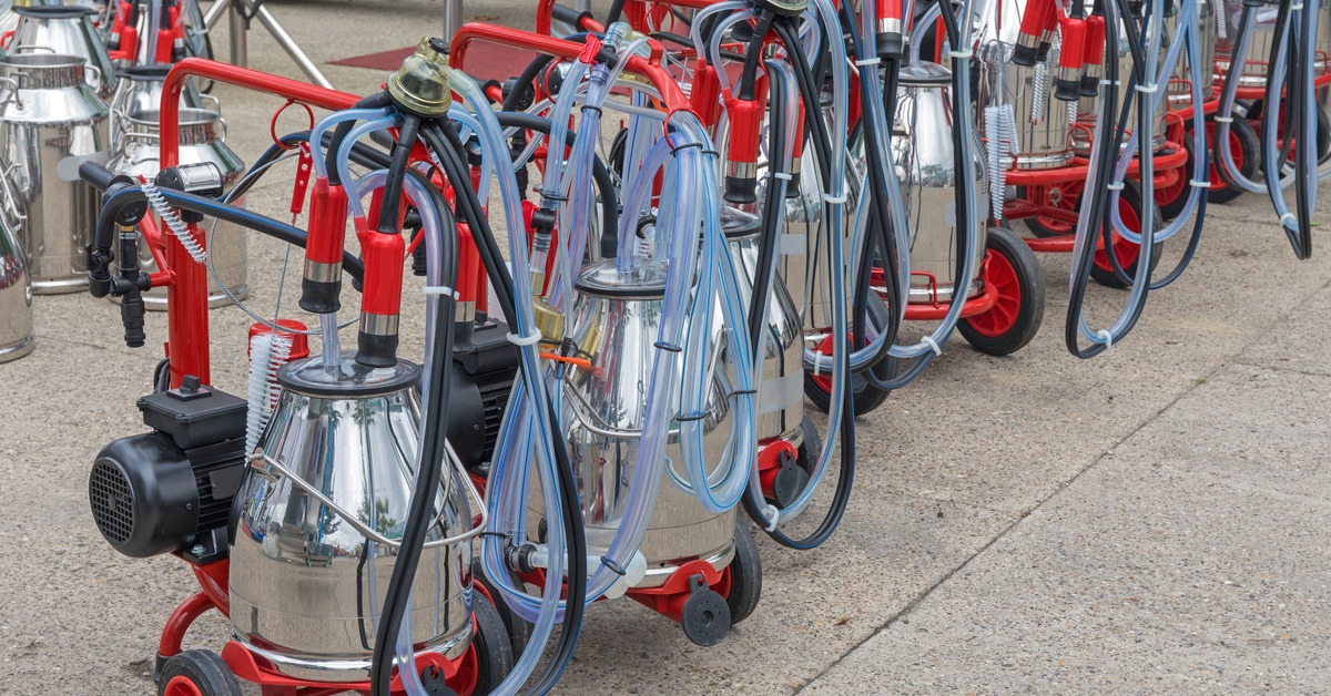 A row of several red and black mobile milking machines with blue tubing lined up on a paved area outdoors.
