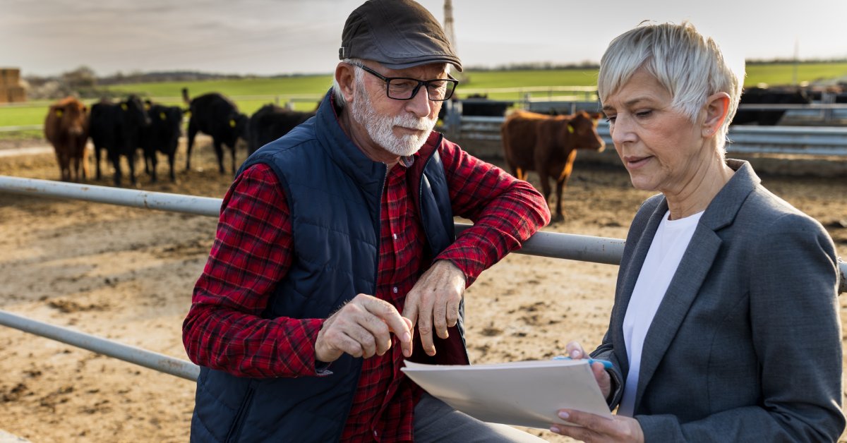 A older man and woman conversing about the contents on a clipboard held by a woman in front of a stable of cattle.