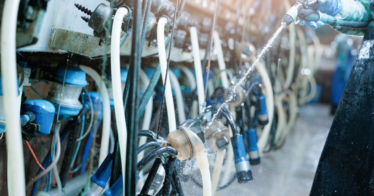 A gloved worker sprays milking equipment in a dairy facility. White and black tubes hang beside metal components.