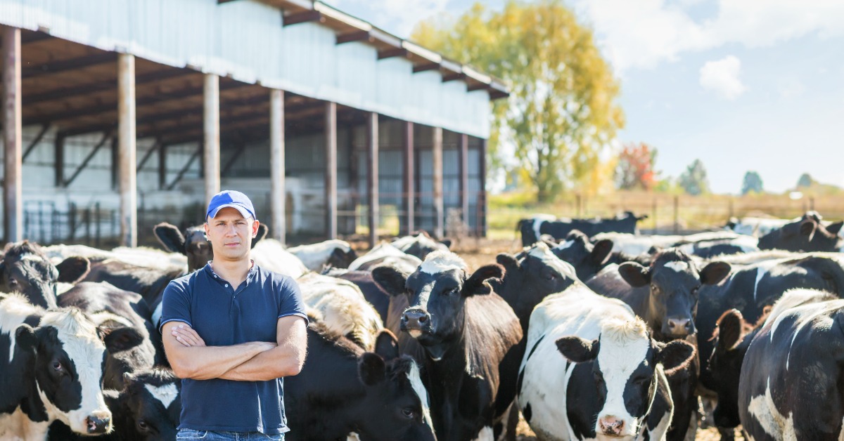 A man in a blue cap stands with his arms crossed among a herd of black-and-white cows beside a farm structure.