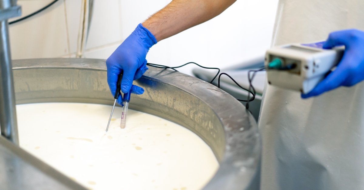 A worker wearing blue gloves inserts a temperature monitor into a metal, industrial-sized container full of a vat of milk.
