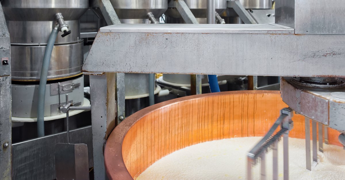 A metal paddle agitates the milk inside its tank with a row of other metal cooling tanks in the background.
